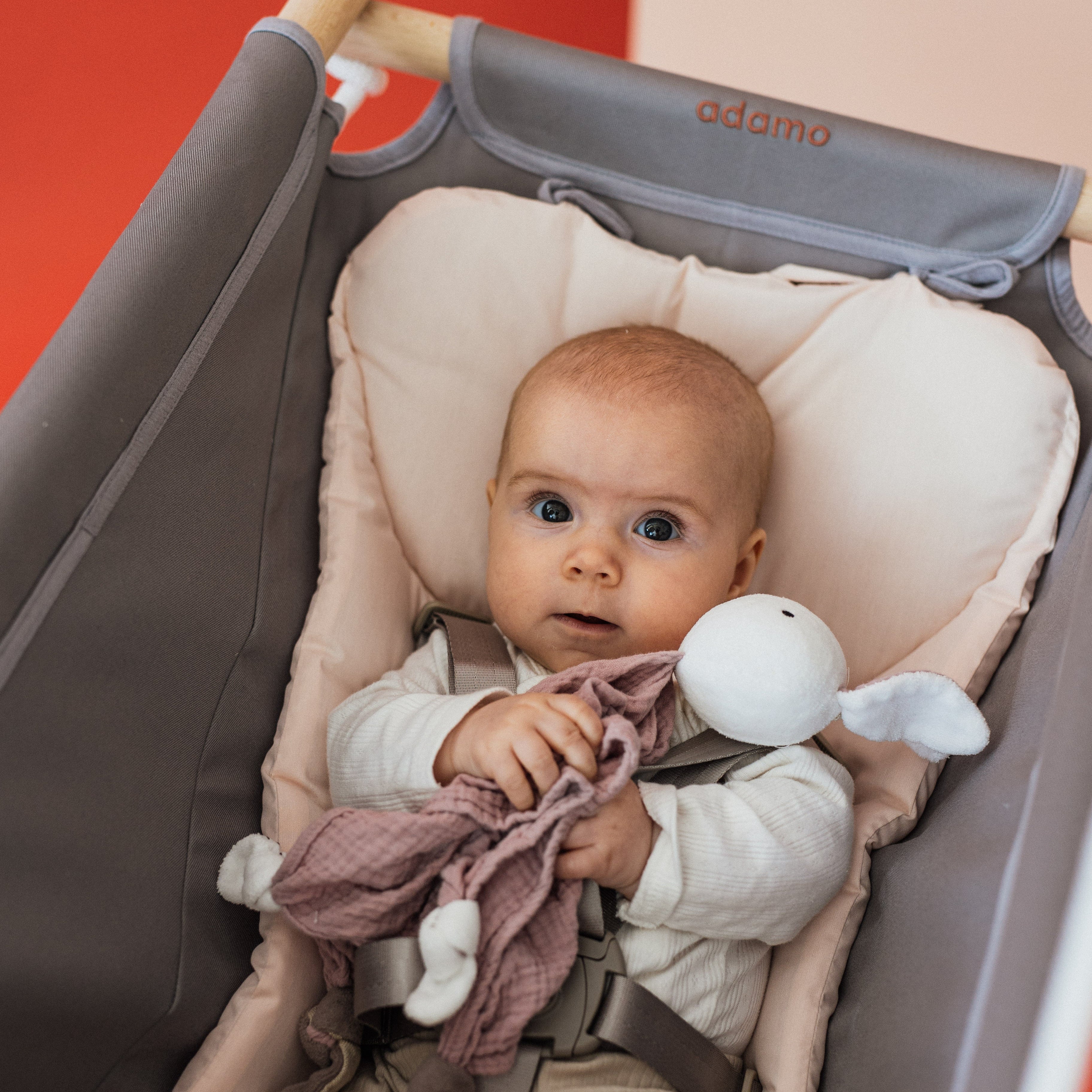 Babahinta Szürke Púderrózsaszín