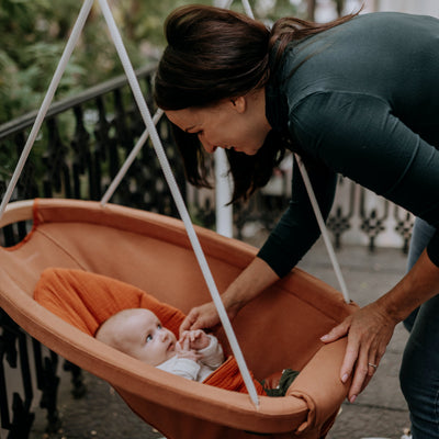 Adamo Lux babahinta Terra