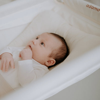 Adamo Prémium Babahinta Natúr