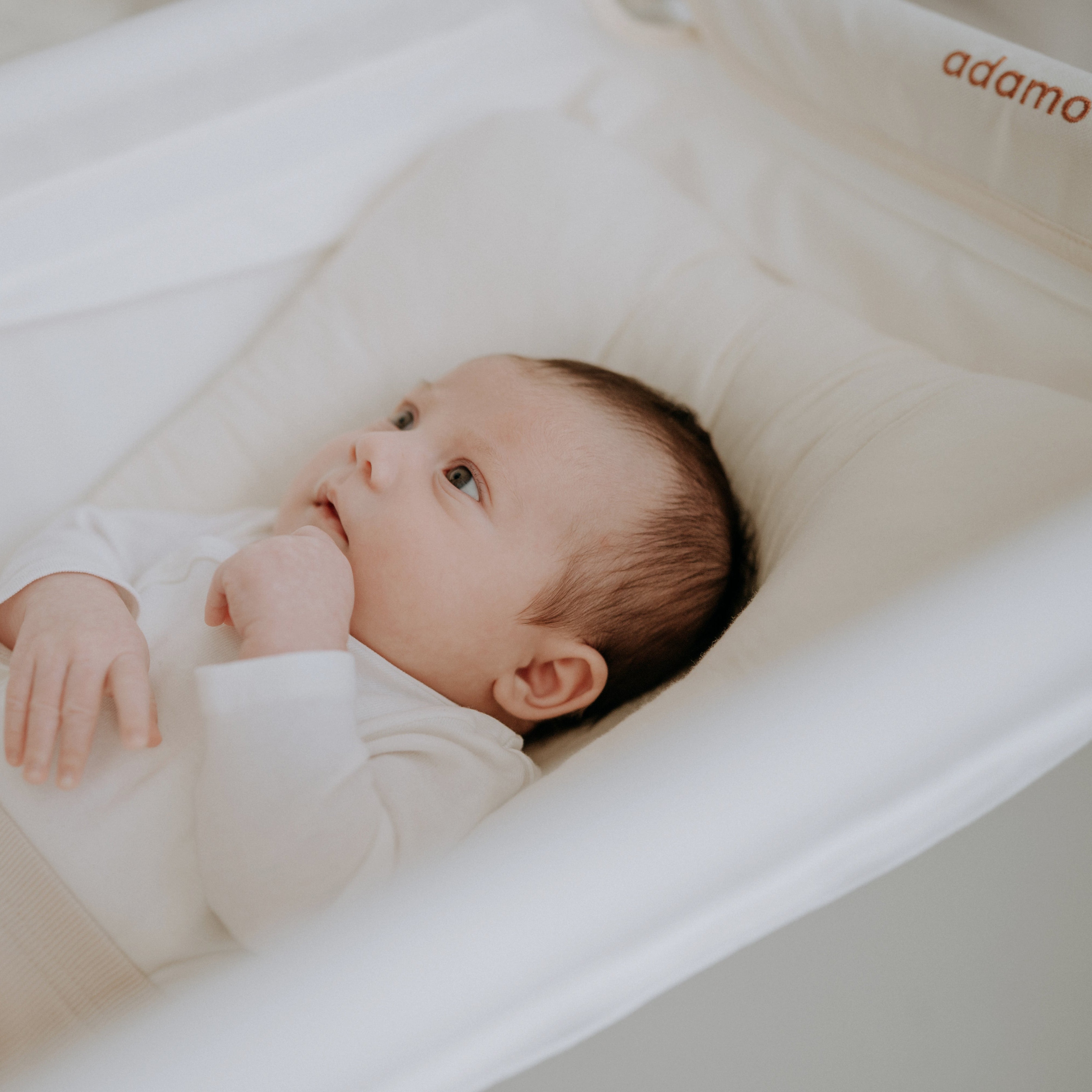 Adamo Prémium Babahinta Natúr